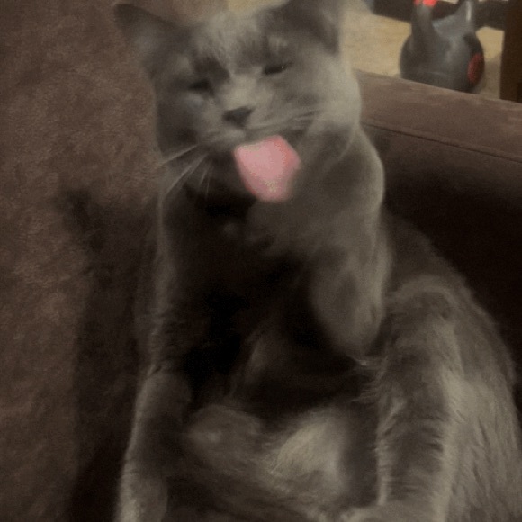 Brandy Melville sweatshirt like new - Picture 7 of 7